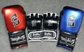 Eruption MMA Gloves