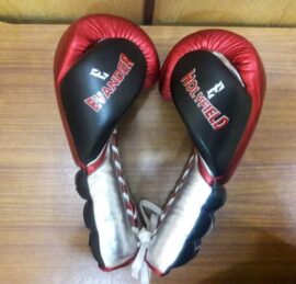 Evander Holyfield Eruption Boxing Gloves